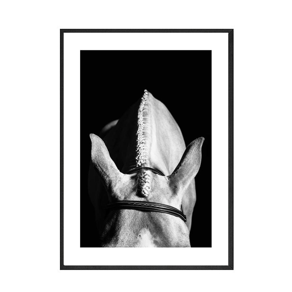 Black And White Horse Canvas Art