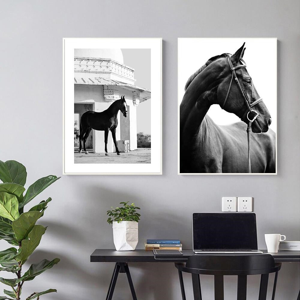 Black And White Horse Canvas Art