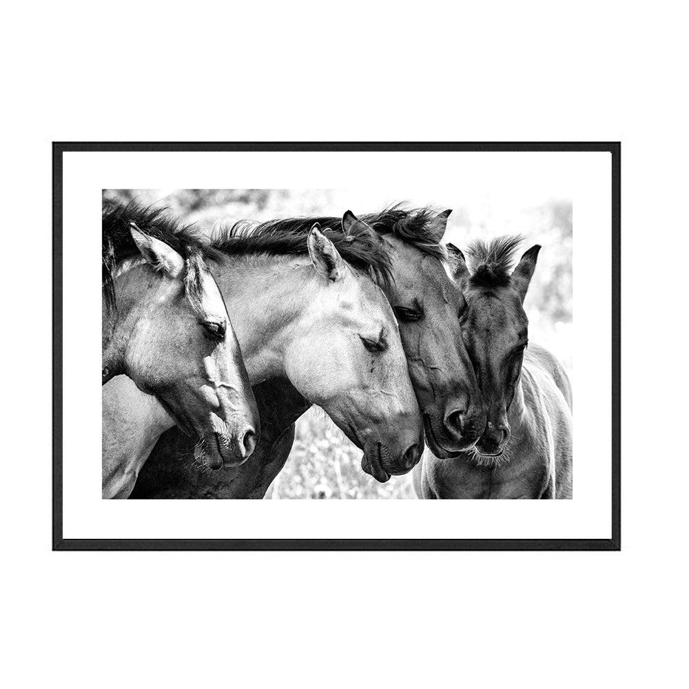 Black And White Horse Canvas Art