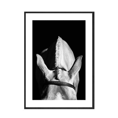 Black And White Horse Canvas Art