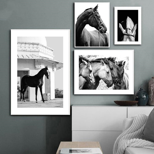 Black And White Horse Canvas Art