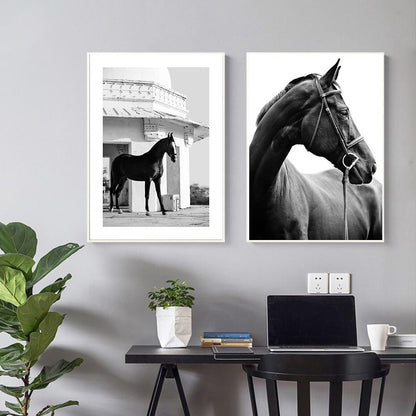 Black And White Horse Canvas Art